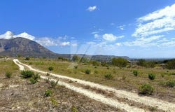 Denia, Alicante/alacant 03700