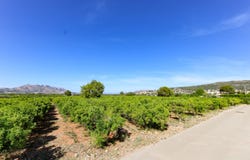 Orba, Valencia 03790