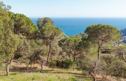 Tossa de Mar, Catalonia 17320
