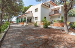 Alacant, Valencia 03559
