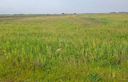 Polígono 4 Parcela 200, Ugena, Castile-La Mancha 45217