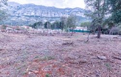 MON MITAD, Denia, Valencian Community 3700