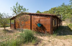 Miravet, Catalonia 43747