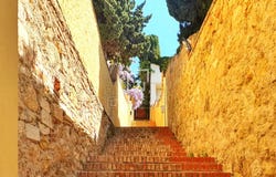 Malaga, Andalusia 29016