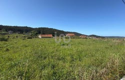 Pontevedra, Galicia 36969