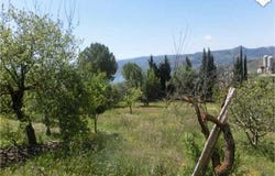 Rute, Cordoba