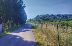 Roquetes, Catalonia 43520
