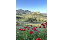 Cortijo de Santa Margarita, Moclín, Andalusia 18249