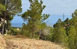 Altea, Valencia 03590