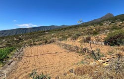 Arafo, Canary Islands