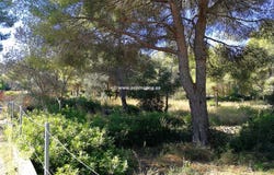 Denia, Valencian Community 03700