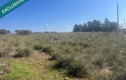 Almansa, Castile-La Mancha 02640