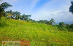Savusavu, Northern Division