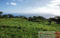 Taveuni, Northern Division