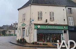 Brienon-sur-Armançon, Bourgogne-Franche-Comté 89210