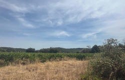 Puget-Ville, Provence-Alpes-Côte d'Azur 83390