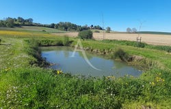 MIRAMBEAU, Nouvelle-Aquitaine 17150