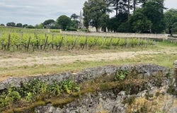 Saint-Émilion, Nouvelle-Aquitaine 33330