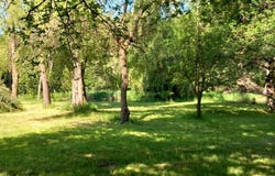 Bouzy-la-Forêt, Centre-Val de Loire 45460
