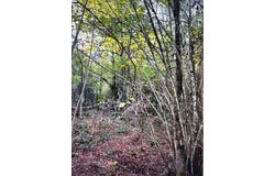 Avrilly, Allier 03130