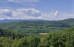 Bourigeole, Languedoc-Roussillon 11300