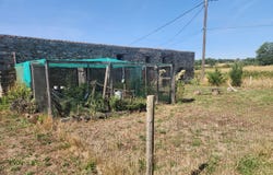 Bussière-Poitevine, Limousin 87320