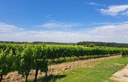 Sauveterre-de-Guyenne, Gironde 33540