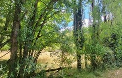 Pleumartin, Poitou-Charentes 86450