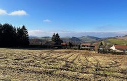 Violay, Auvergne-Rhône-Alpes 42780