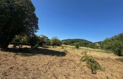 ST MARTIN DE VALGALGUES, Languedoc-Roussillon 30520