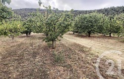 Reynès, Languedoc-Roussillon 66400