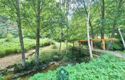 Ambert, Auvergne 63600