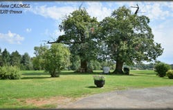 Lalinde, Aquitaine 24150