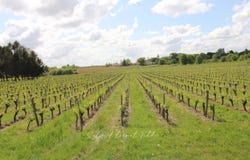 Maransin, Gironde 33230
