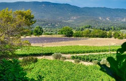 Cucuron, Provence-Alpes-Côte-d'Azur 84160