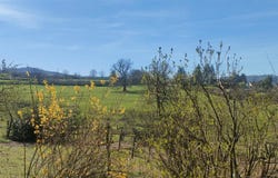 Buffières, Burgundy 71250