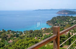 Rayol-Canadel-sur-Mer, Provence-Alpes-Côte-d'Azur 83820