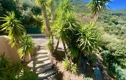 Cavalaire-sur-Mer, Provence-Alpes-Côte-d'Azur 83240