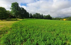 Cadalen, Tarn 81600