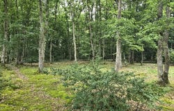 Bâlines, Eure 27130