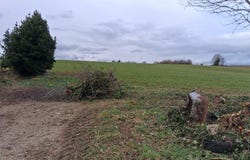 CHATEAUNEUF LA FORET, Nouvelle-Aquitaine 87130