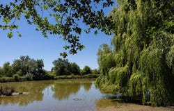 AGEN, Nouvelle-Aquitaine 47000