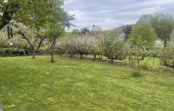 Dampierre-en-Yvelines, Yvelines 78720