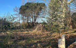Loupes, Aquitaine 33370