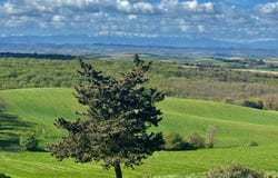 Carcassonne, Languedoc-Roussillon 11000