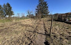 BERG, Alsace 67320