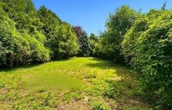 BETHENIVILLE, Champagne-Ardenne 51490