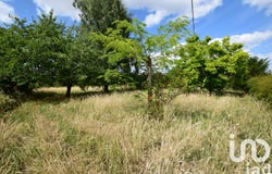 Saint-Branchs, Centre-Val de Loire 37320