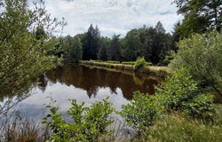 Pensol, Limousin 87440