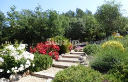 Les Arcs, Var 83460